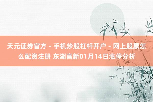 天元证券官方 - 手机炒股杠杆开户 - 网上股票怎么配资注册 东湖高新01月14日涨停分析