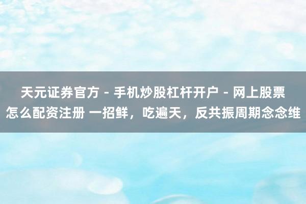 天元证券官方 - 手机炒股杠杆开户 - 网上股票怎么配资注册 一招鲜，吃遍天，反共振周期念念维