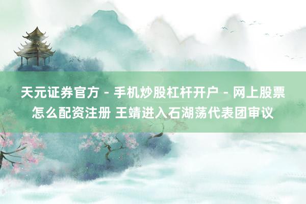 天元证券官方 - 手机炒股杠杆开户 - 网上股票怎么配资注册 王靖进入石湖荡代表团审议