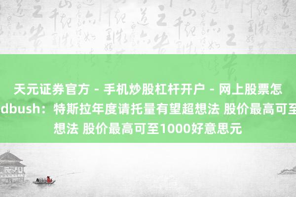 天元证券官方 - 手机炒股杠杆开户 - 网上股票怎么配资注册 Wedbush：特斯拉年度请托量有望超想法 股价最高可至1000好意思元